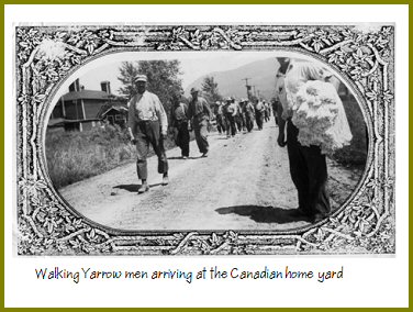 Yarrow Hops Industry