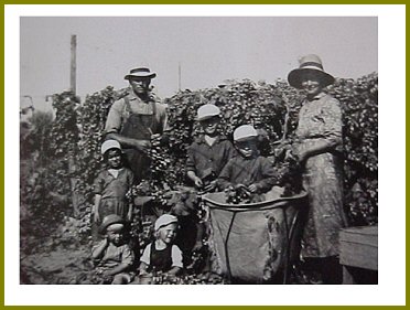 Yarrow Hops Industry