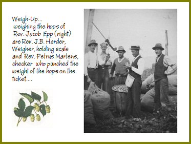 Yarrow Hops Industry