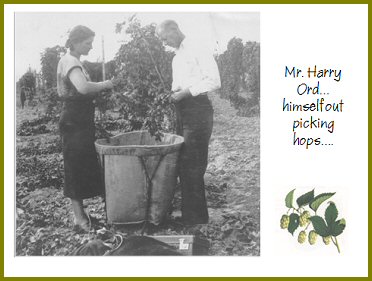 Yarrow Hops Industry