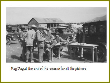 Yarrow Hops Industry