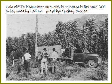 Yarrow Hops Industry