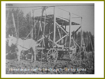 Yarrow Hops Industry