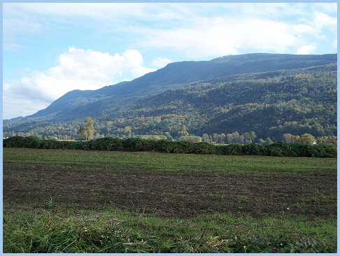 Vedder Mountain from Sumas Prairie Looking East