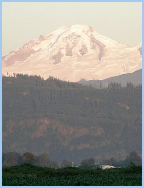 Mount Baker from Sumas Prarie